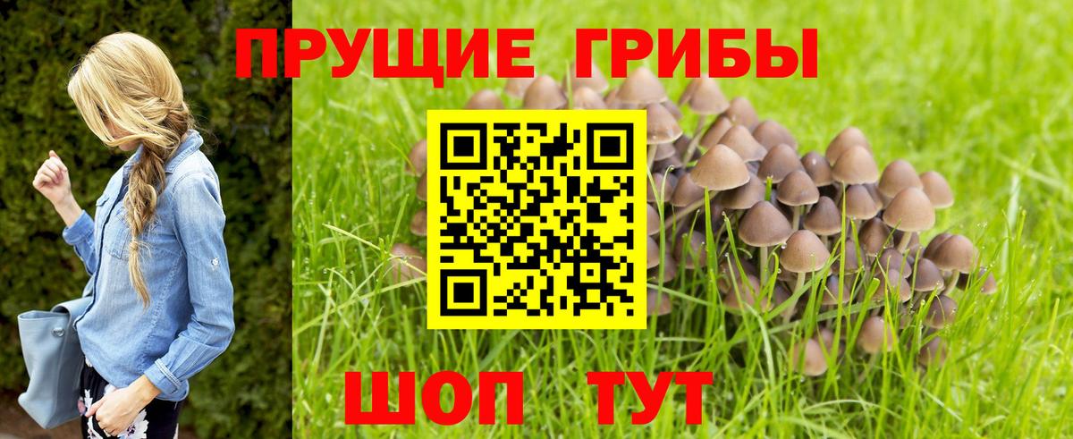 Галлюциногенные грибы мухоморы  Вход с VPN  Псилоцибиновые грибы мицелий  Ступино 