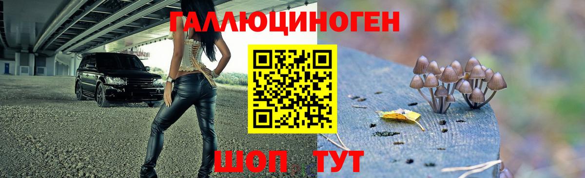 Псилоцибиновые грибы мицелий Ступино